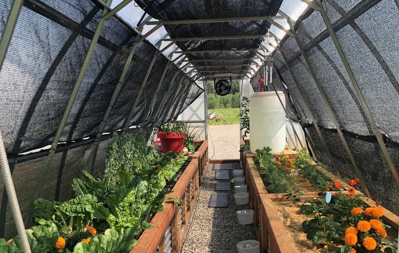 Inside view of a greenhouse with black shade cloth