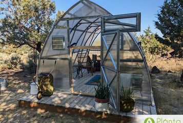 I dreamt of having a greenhouse for years