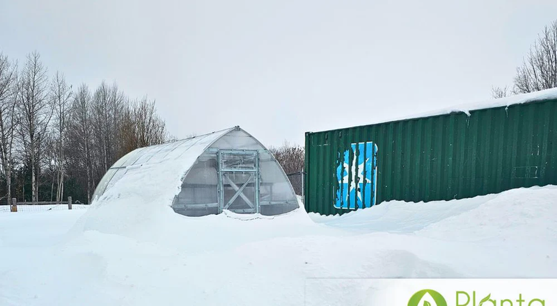 Best Greenhouses for Cold-Weather and Extreme Conditions