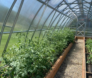 We spend lots of time in both of our greenhouses