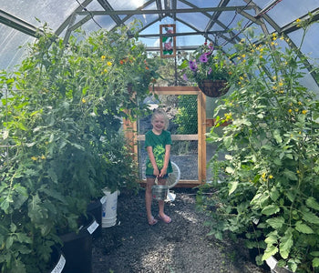 The best greenhouse to meet our high desert needs