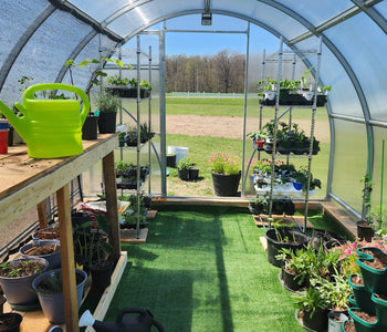 Extending the Growing Season with the Sigma Urban Greenhouse