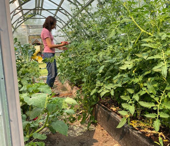 We were harvesting beets and broccoli long before anyone else