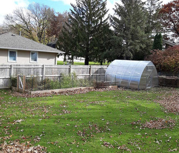 Ann's First Greenhouse