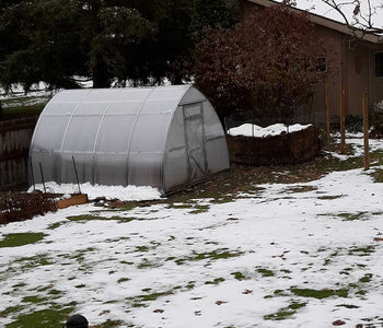 Ann's First Greenhouse