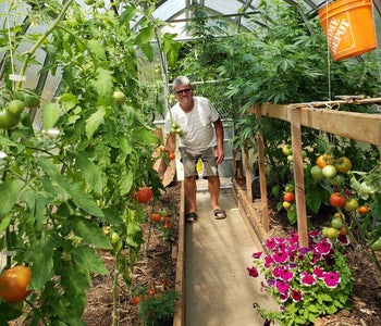 From Spring Planting to Fall Harvest