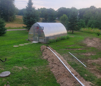 My husband bought me the greenhouse for a Christmas gift!