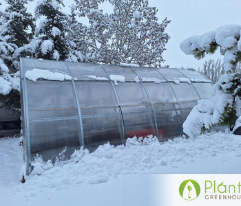 The Greenhouse is capable of handling the strongest wind rain and snow loads