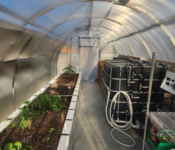 Year-Round Gardening Success with the Sigma 20 Greenhouse