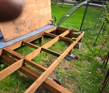 Growing More in Alaska with the Sungrow 20 Greenhouse