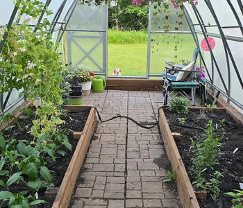 From a 100-Day Season to Months of Abundant Harvests