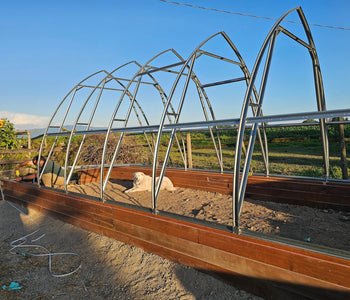 A Greenhouse That Brings Joy, and Year-Round Gardening