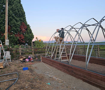 A Greenhouse That Brings Joy, and Year-Round Gardening
