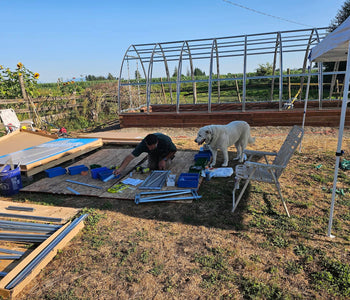 A Greenhouse That Brings Joy, and Year-Round Gardening