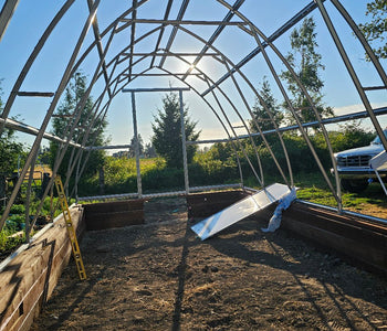 A Greenhouse That Brings Joy, and Year-Round Gardening