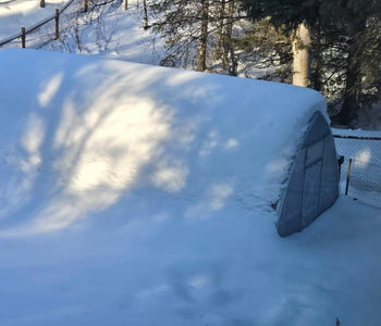 Growing More in Alaska with the Sungrow 20 Greenhouse