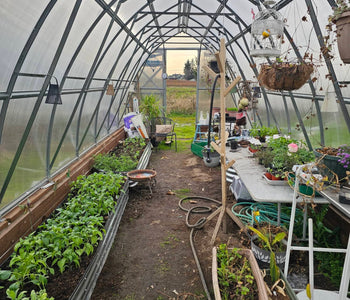 A Greenhouse That Brings Joy, and Year-Round Gardening