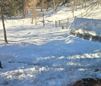 Growing More in Alaska with the Sungrow 20 Greenhouse