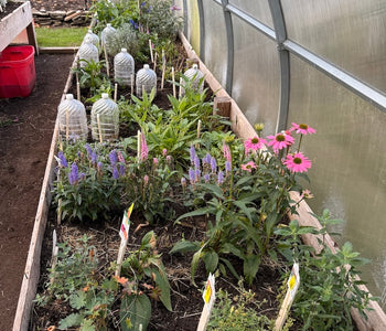 David de North Kingstown: La calidad de construcción es increíble. 