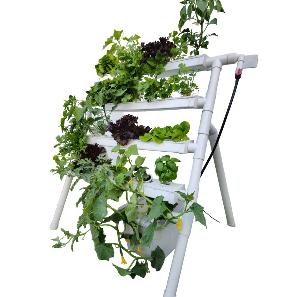 Homie 28 – Home Hydroponic Growing System