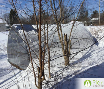 The greenhouse will keep squirrels away from what I am growing