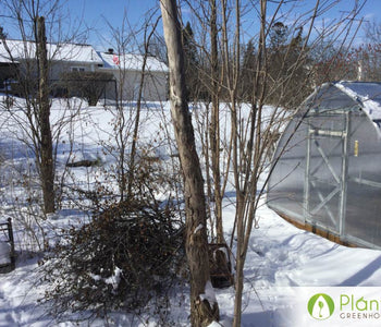 The greenhouse will keep squirrels away from what I am growing