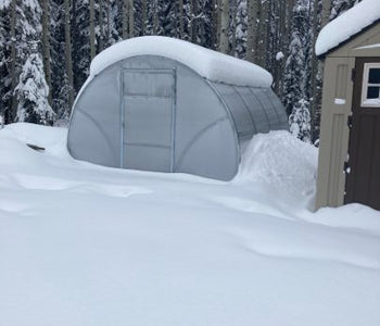 The greenhouse stays considerably warmer than the outside air