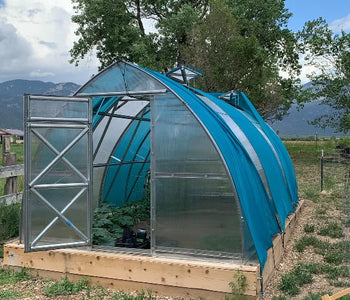 I love our greenhouse and have already harvested lettuce, basil and chard!