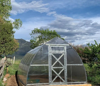 I love our greenhouse and have already harvested lettuce, basil and chard!