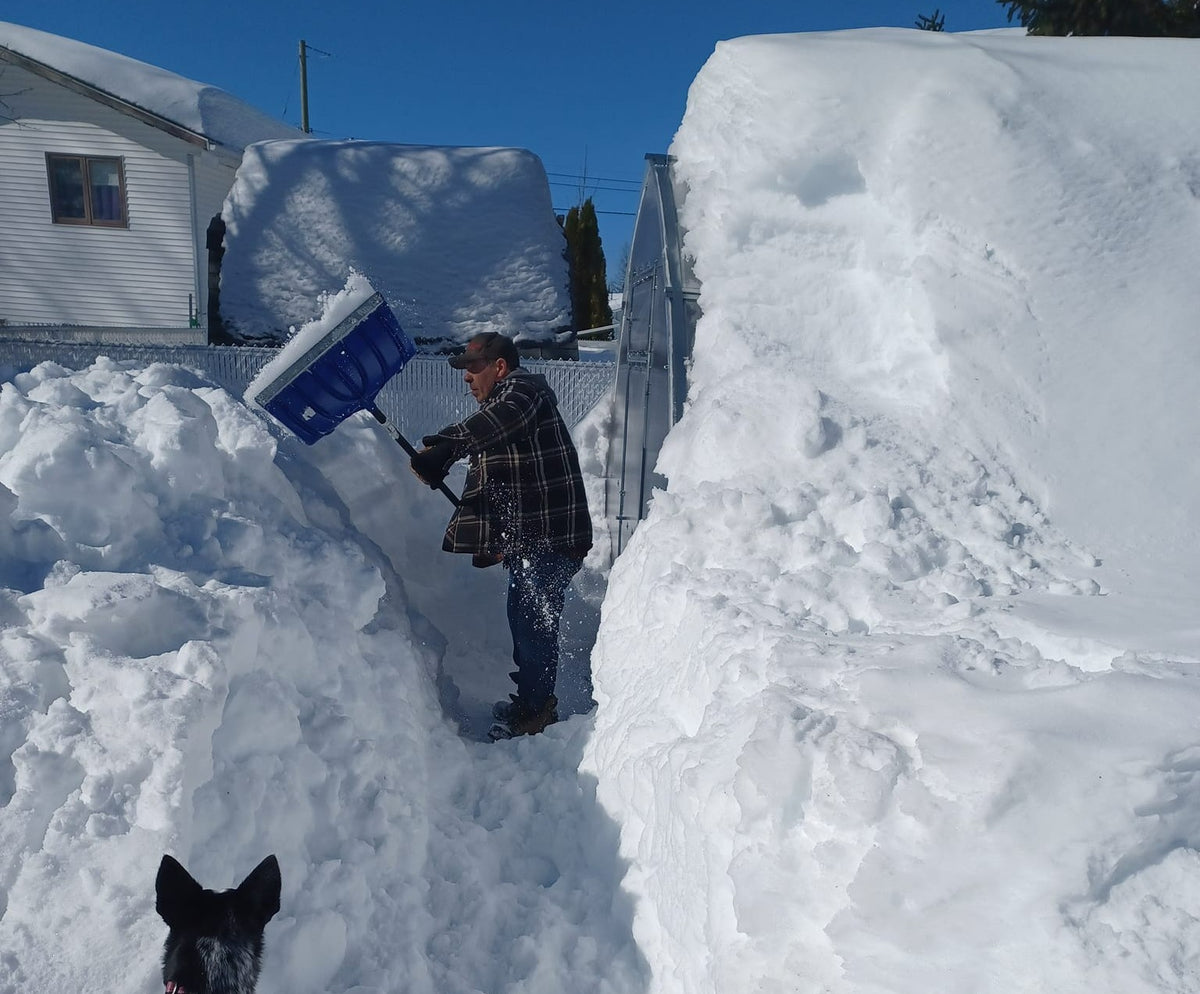 Remove snow from the top and surroundings