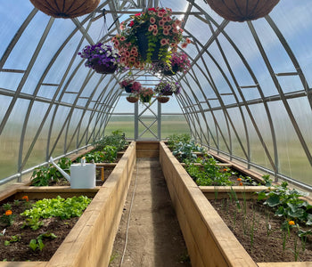 Maximizing space with hanging planters and shelves