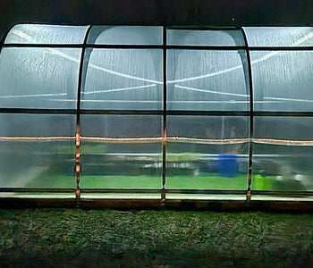 Extending the Growing Season with the Sigma Urban Greenhouse