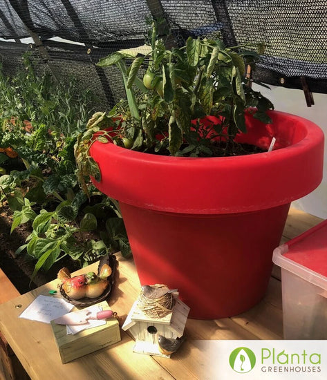 Enjoying the sounds of birds in the greenhouse