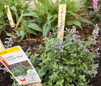 David de North Kingstown: La calidad de construcción es increíble. 