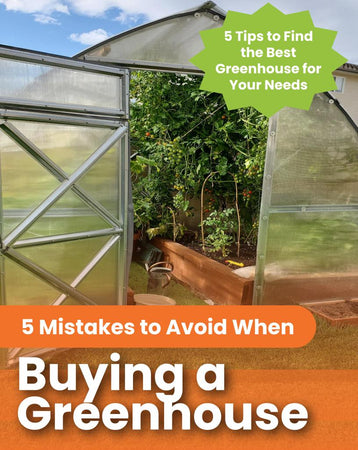 Commercial Greenhouses
