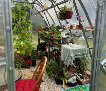 My wife loves her greenhouse space!