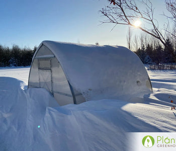 We love the look of our Planta Sungrow Greenhouse