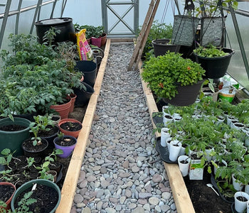A plant protection space