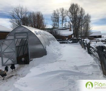 This greenhouse is great for a location with harsh conditions