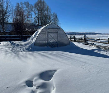 This greenhouse is great for a location with harsh conditions