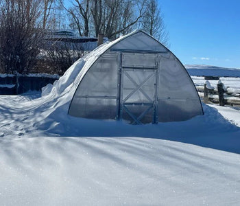 This greenhouse is great for a location with harsh conditions