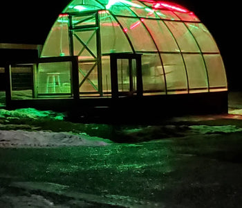 I needed the greenhouse to withstand lots of snow and wind