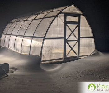 This greenhouse is a very ruggedly built and well designed