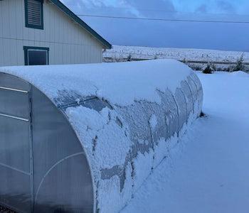 The stability of the greenhouse is really good even in the wind