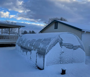 The stability of the greenhouse is really good even in the wind