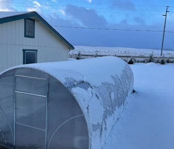 The stability of the greenhouse is really good even in the wind