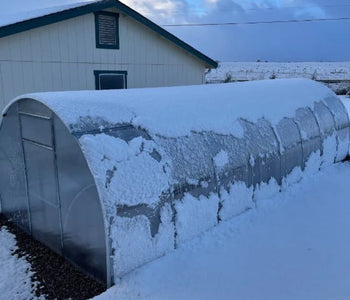 The stability of the greenhouse is really good even in the wind