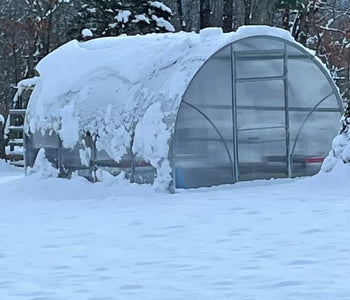 My greenhouse has added a new element of enjoyment to my life