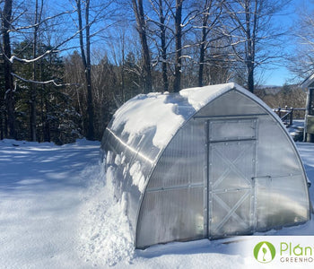 Our greenhouse extended our growing season year round