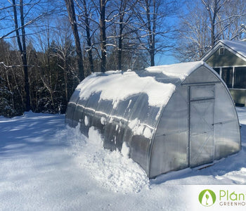 Our greenhouse extended our growing season year round